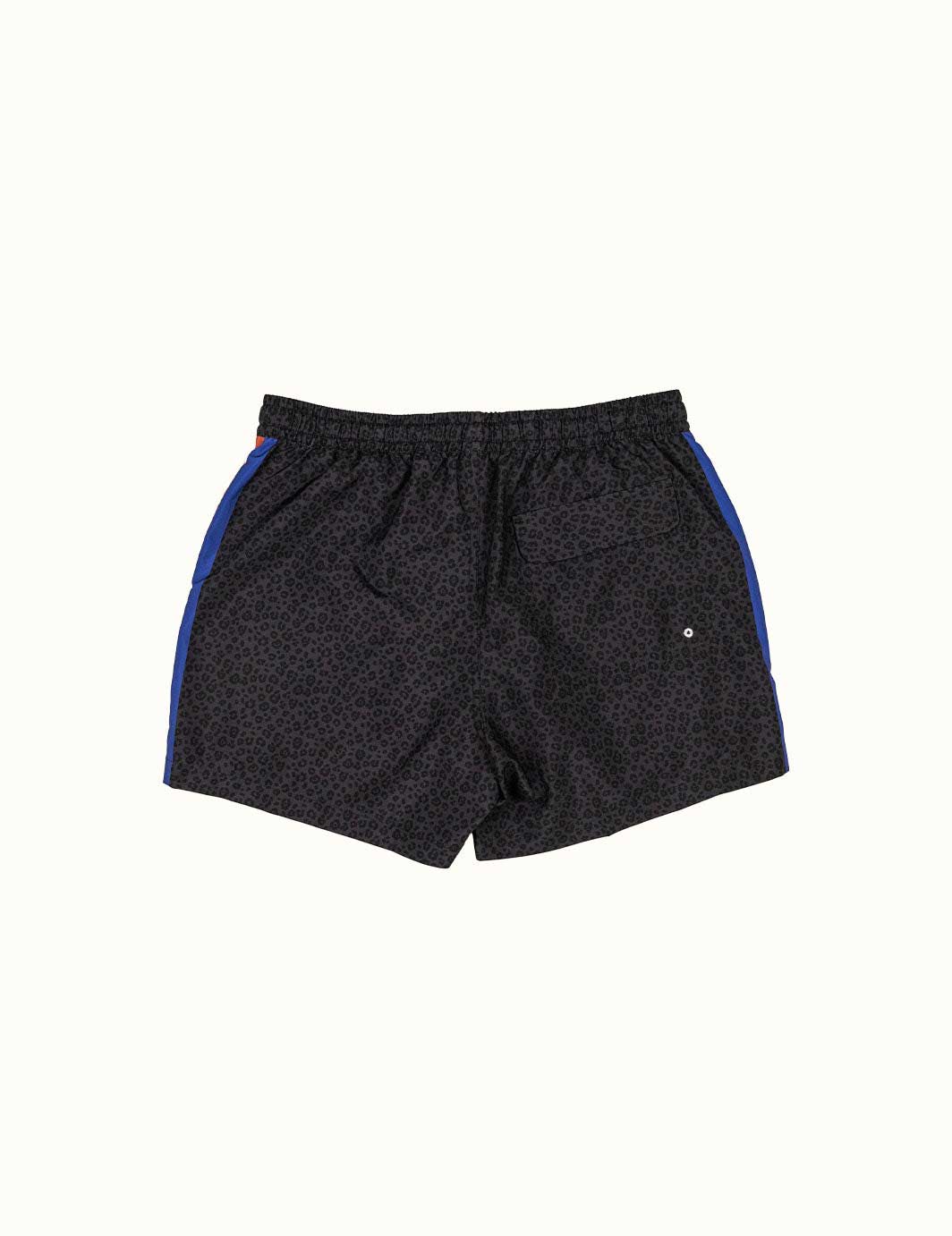 Duvin: Black Cat Swim 14.6" Short